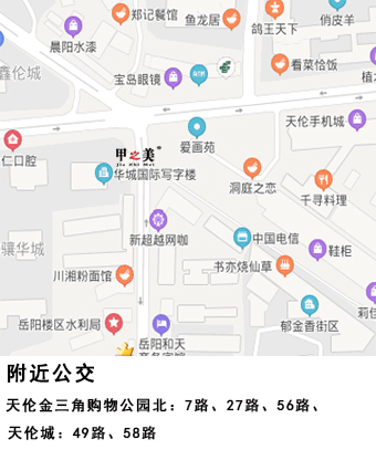 地图